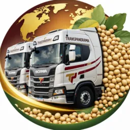 📌💥FRETES SAFRA 2026 TRANSPANORAMA MS🔸♦️🚛💨