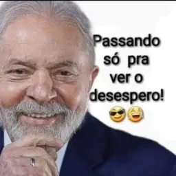 Amigos e política