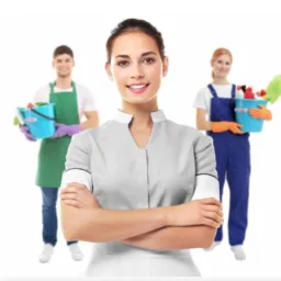 PROFISSIONAIS LIMPEZA: CASA & EMPRESA