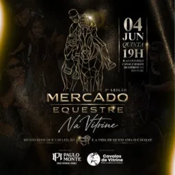 Leilão Cavalos De Vitrine • 10
