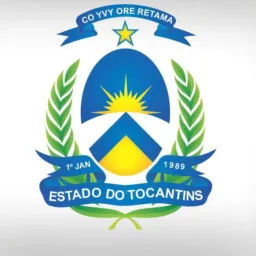 Palmas em alerta notícias e informação