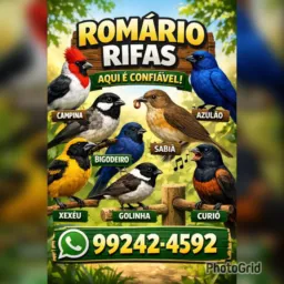 RIFA DE UM TRINCA FERRO TOP!! COM VARIAÇÃO DE CÂNTICOS!! BOIADEIRO!