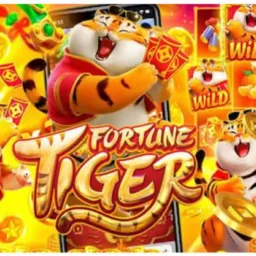 Grupo do tigrinho 🐯🐅