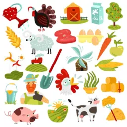 Agro Bauru CAIPIRA 100% do Sítio
🐷🐽🥩🐥🐣🪿🦆🐗🐖🐓🦃
Compra Vendo Abate Cria