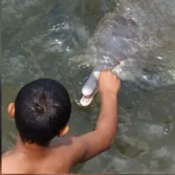 NOTÍCIAS MOCAJUBA-BELÉM