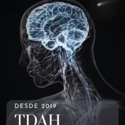 ☄️ T.D.A.H. Medicamentos/ Concursos ☄️ - desde 2019 - Leia as Regras !