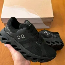 Wc variedades