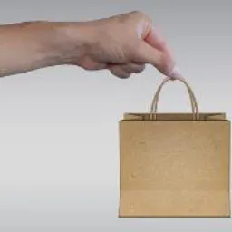 Shopee sua nova Observação