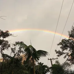 Achados shopee Borelli
