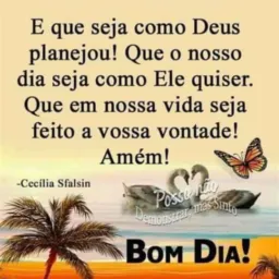 Bazar vendas Jomar Moraes