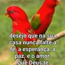 Grupo do xexeu