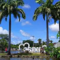 NOTÍCIAS,E VENDAS DE CAXIAS