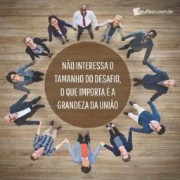 Jarizão divulgações e notícias em geral