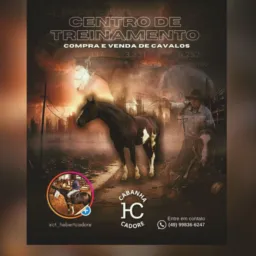 🚨VENDAS DE CAVALOS CRIOULOS 🐎