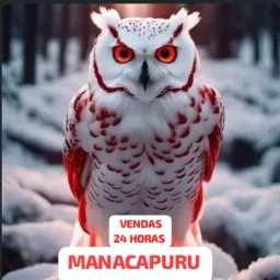 🔃 VENDAS 24 HORAS MANACAPURU 💱
