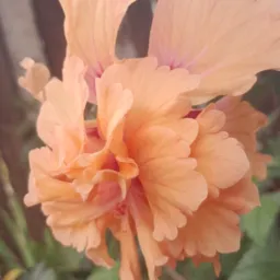Momentos cestas e flores 💐