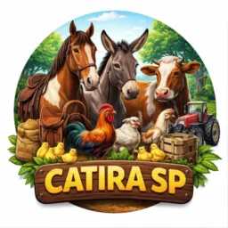 CATIRA - DDD 11 AO 19 - ESTADO SP