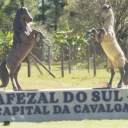 Olx Cafezal do sul 💥💥