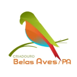 Criadouro Belas Aves 🐦 CA _ PA 🇧🇷