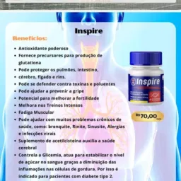 BONIFICA NORTE: COMPRE, VENDA, CADASTRE, SEJA DIAMANTE 💎