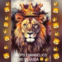 Leão da tribo de Judá 🦁 👑