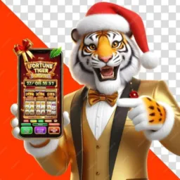 Nosso Grupo de Slots