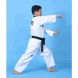 🌍🥋Taekwondo Português ❤️