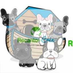 Recanto dos dogs 🐶grupo pet