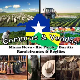 Pecuaristas e comerciantes comprando e vendendo em Buritis, Rondonia.