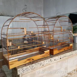 Rifa das gaiolas