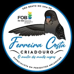 Periquitos Ferreira Costa