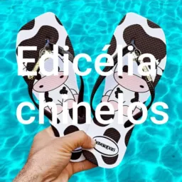 VENDAS CHINELOS NO ATACADO