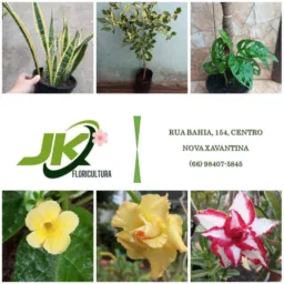 JK Floricultura - 🎨Pneus