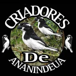 CRIADORES DE ANANINDEUA