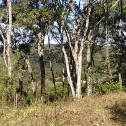 SOMENTE chácaras/sítio/fazenda