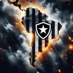BRASILEIRÃO SERIE 🅰️ BOTAFOGO CAMPEÃO ⚫⚪