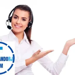 FREELANCER$ DIÁRIO EM GOIÂNIA