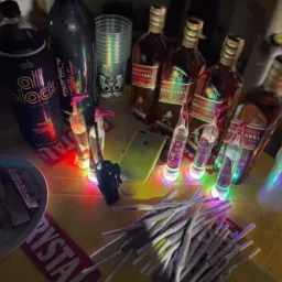 Festa da árvore 🔥🌴