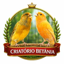 CRIATÓRIO BETÂNIA.                                                                           👉PA142👈