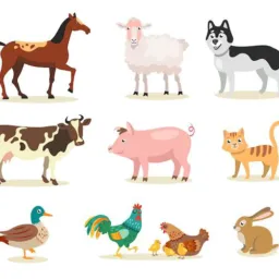 GRUPO DE ANIMAIS