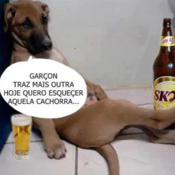 Grupo da cachaça🥃🍾