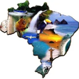 Fauna brasileira🐶🐱🐮🐷🐔🦅🐴🐟