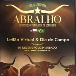 1 - LEILÃO VIRTUAL ABRALHO