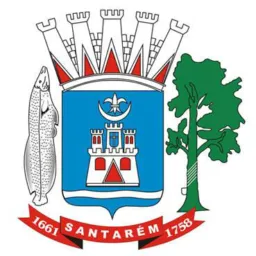 Santarém OLX de tudo