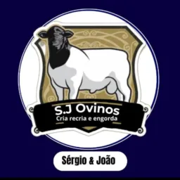 S.J ovinos rifas 🐏 grupo de rifas relacionadas apenas ovinos