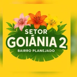 Vendas e desapegos GYN 2