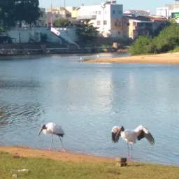 Vender aqui é fácil