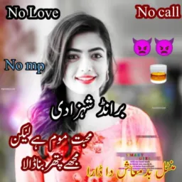 ꧁🌼𓅓برانڈ شہزادی𓅓🌼꧂
