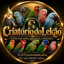 🐦 GRUPO OFICIAL – CRIATÓRIO DO LEKÃO AVES PETS GOIÂNIA-GO