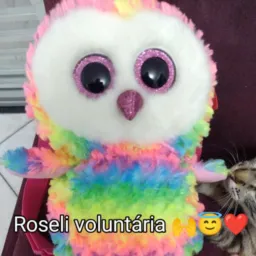Amigos do bem (adm roseli